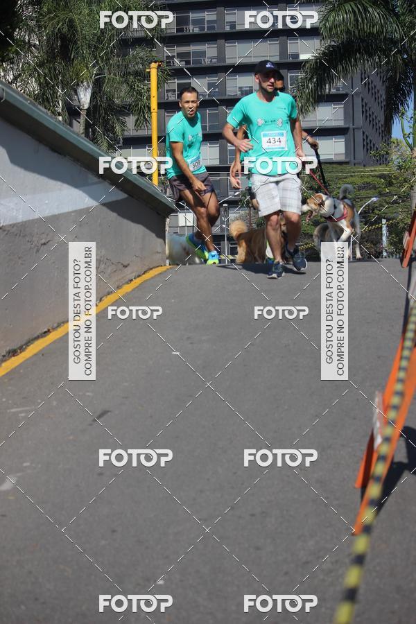 Buy your photos of the event2 Pet Run Shopping Eldorado  on Fotop