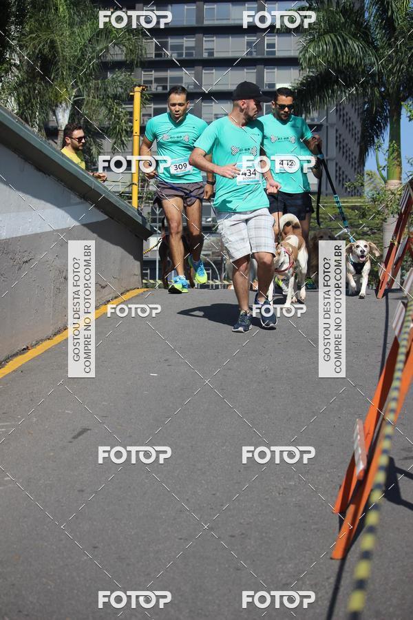 Buy your photos of the event2 Pet Run Shopping Eldorado  on Fotop