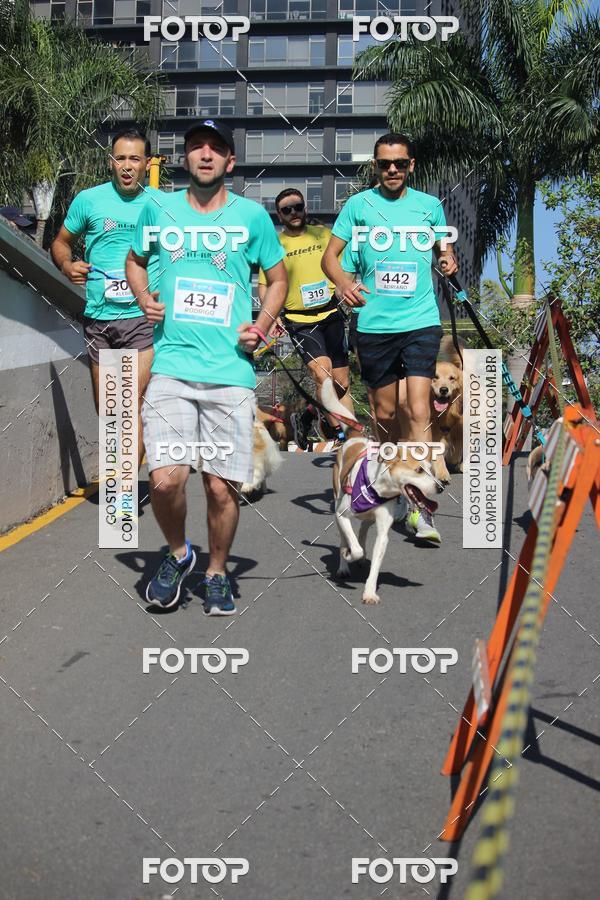 Buy your photos of the event2 Pet Run Shopping Eldorado  on Fotop