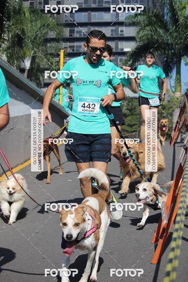 Buy your photos of the event2 Pet Run Shopping Eldorado  on Fotop