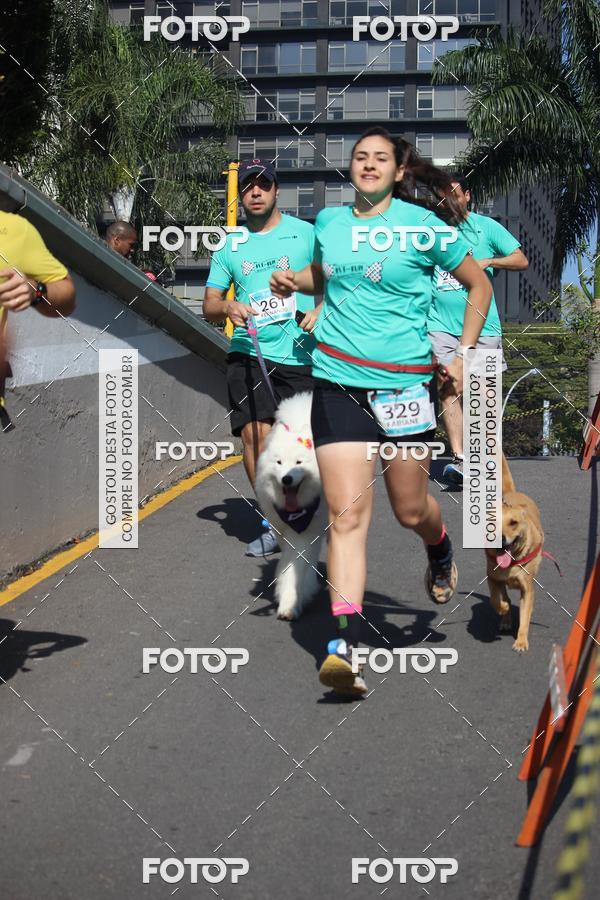 Buy your photos of the event2 Pet Run Shopping Eldorado  on Fotop