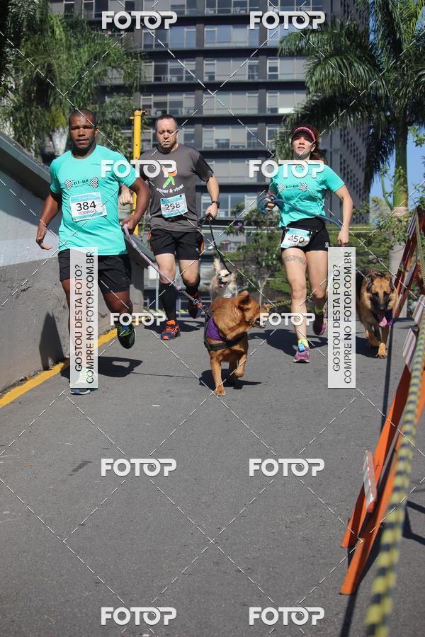 Buy your photos of the event2 Pet Run Shopping Eldorado  on Fotop