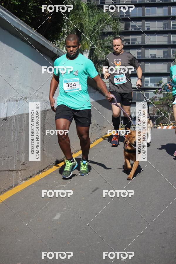 Buy your photos of the event2 Pet Run Shopping Eldorado  on Fotop