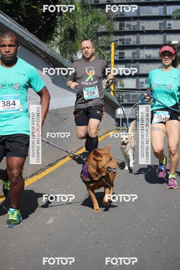 Buy your photos of the event2 Pet Run Shopping Eldorado  on Fotop
