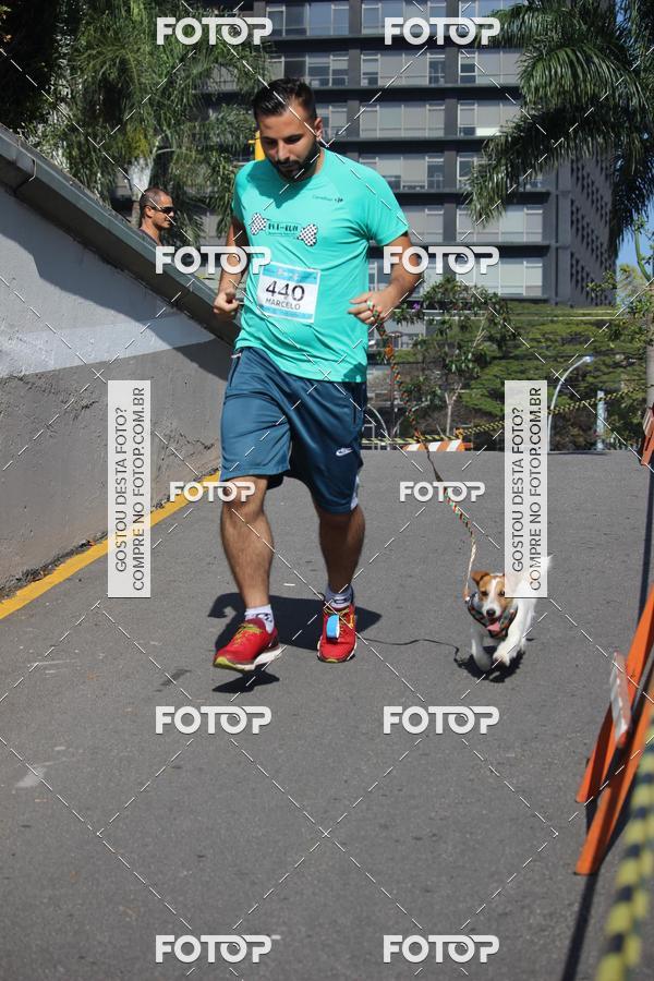 Buy your photos of the event2 Pet Run Shopping Eldorado  on Fotop