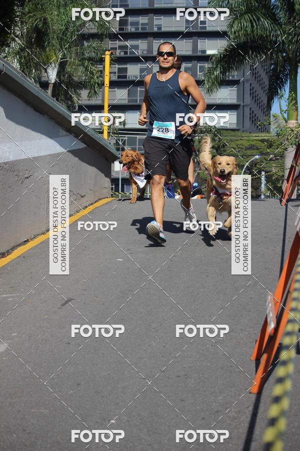 Buy your photos of the event2 Pet Run Shopping Eldorado  on Fotop
