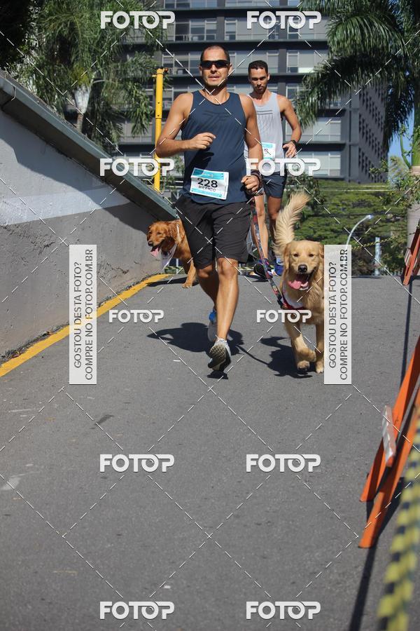 Buy your photos of the event2 Pet Run Shopping Eldorado  on Fotop