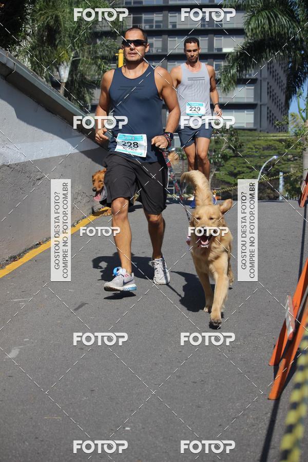 Buy your photos of the event2 Pet Run Shopping Eldorado  on Fotop