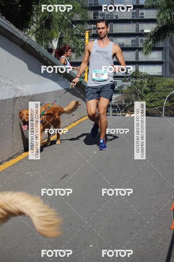 Buy your photos of the event2 Pet Run Shopping Eldorado  on Fotop
