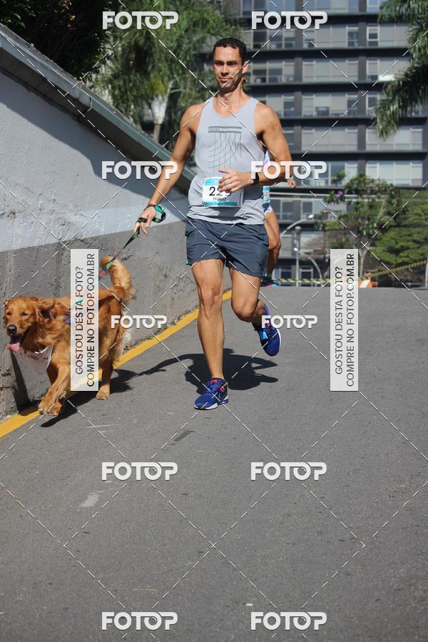 Buy your photos of the event2 Pet Run Shopping Eldorado  on Fotop