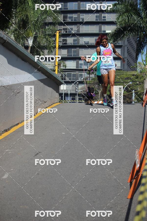 Buy your photos of the event2 Pet Run Shopping Eldorado  on Fotop