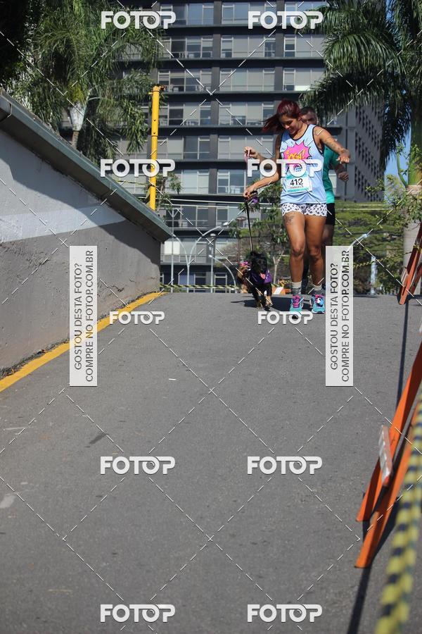 Buy your photos of the event2 Pet Run Shopping Eldorado  on Fotop
