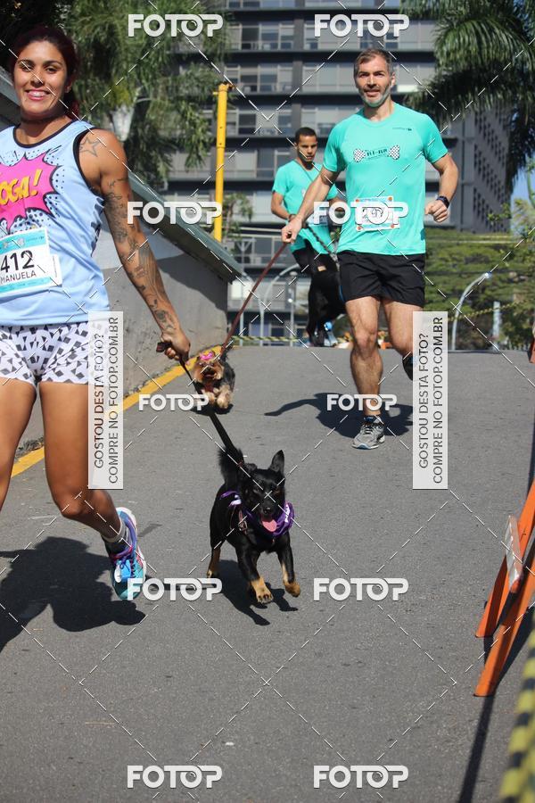 Buy your photos of the event2 Pet Run Shopping Eldorado  on Fotop