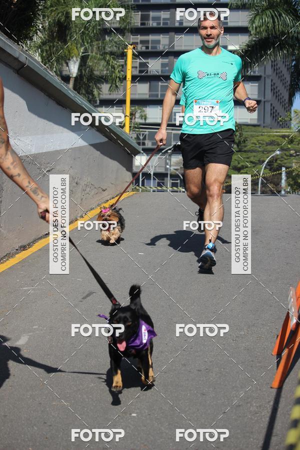 Buy your photos of the event2 Pet Run Shopping Eldorado  on Fotop