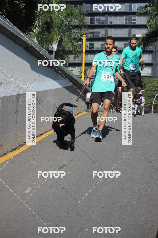 Buy your photos of the event2 Pet Run Shopping Eldorado  on Fotop
