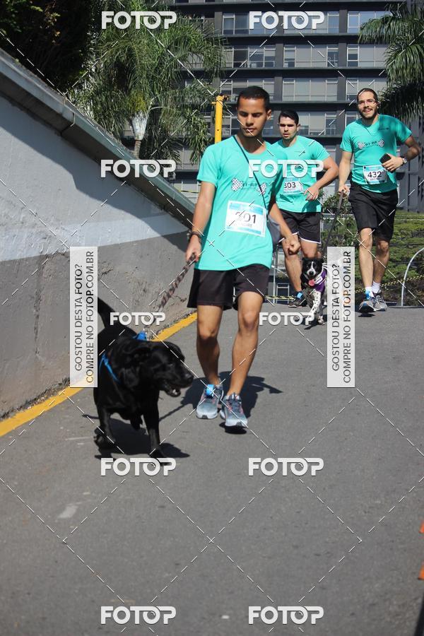 Buy your photos of the event2 Pet Run Shopping Eldorado  on Fotop