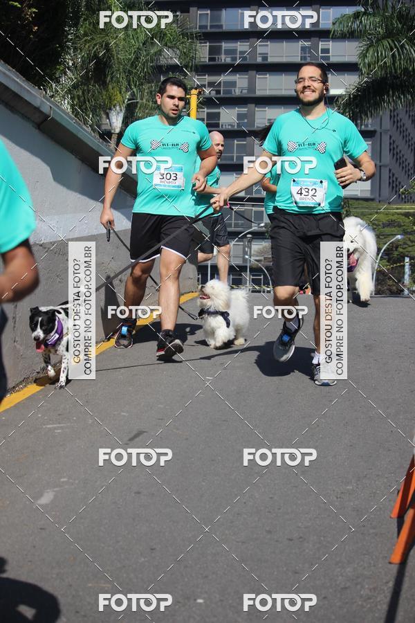 Buy your photos of the event2 Pet Run Shopping Eldorado  on Fotop