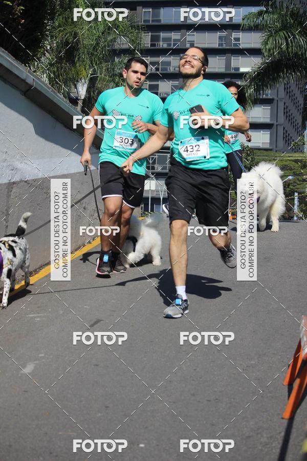Buy your photos of the event2 Pet Run Shopping Eldorado  on Fotop
