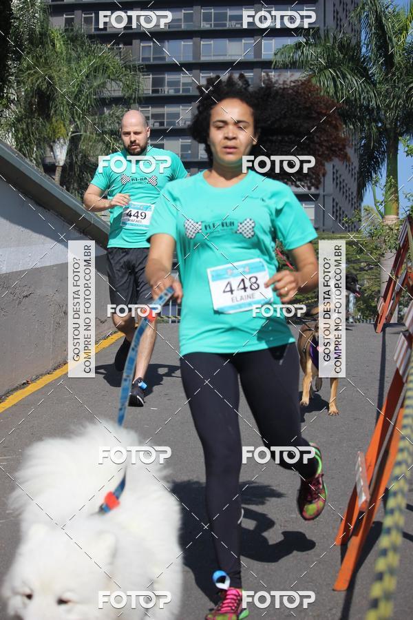 Buy your photos of the event2 Pet Run Shopping Eldorado  on Fotop