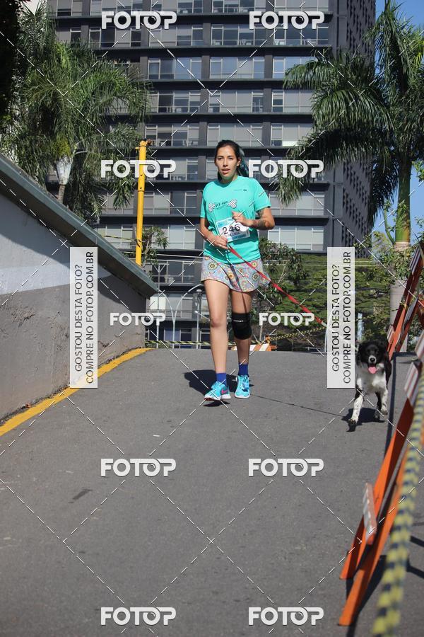 Buy your photos of the event2 Pet Run Shopping Eldorado  on Fotop