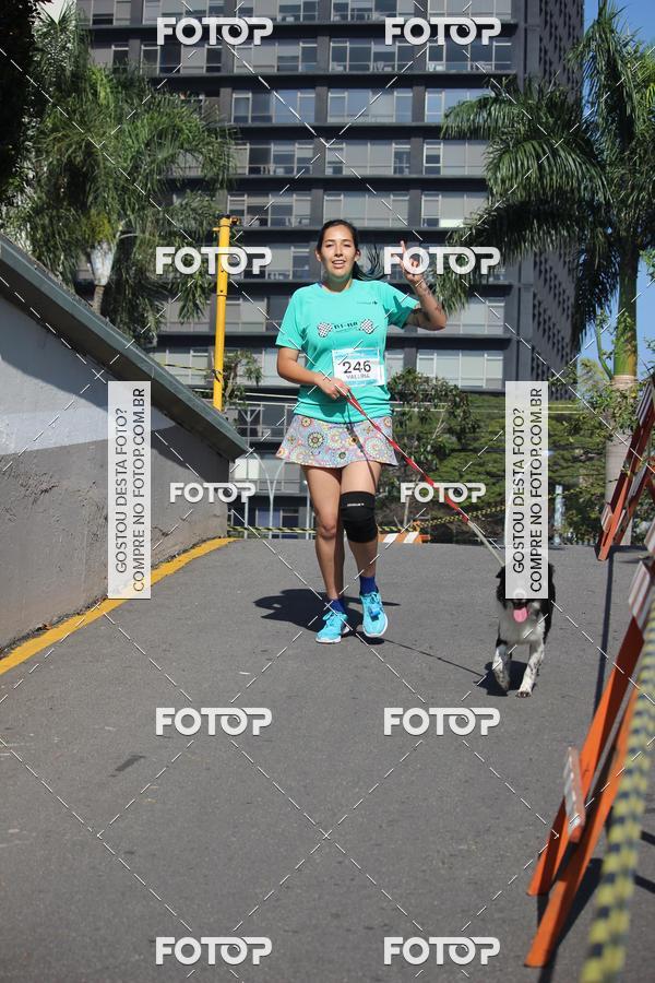 Buy your photos of the event2 Pet Run Shopping Eldorado  on Fotop