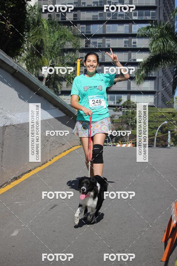 Buy your photos of the event2 Pet Run Shopping Eldorado  on Fotop