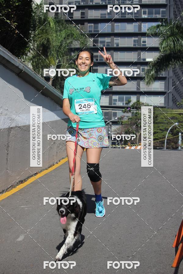 Buy your photos of the event2 Pet Run Shopping Eldorado  on Fotop