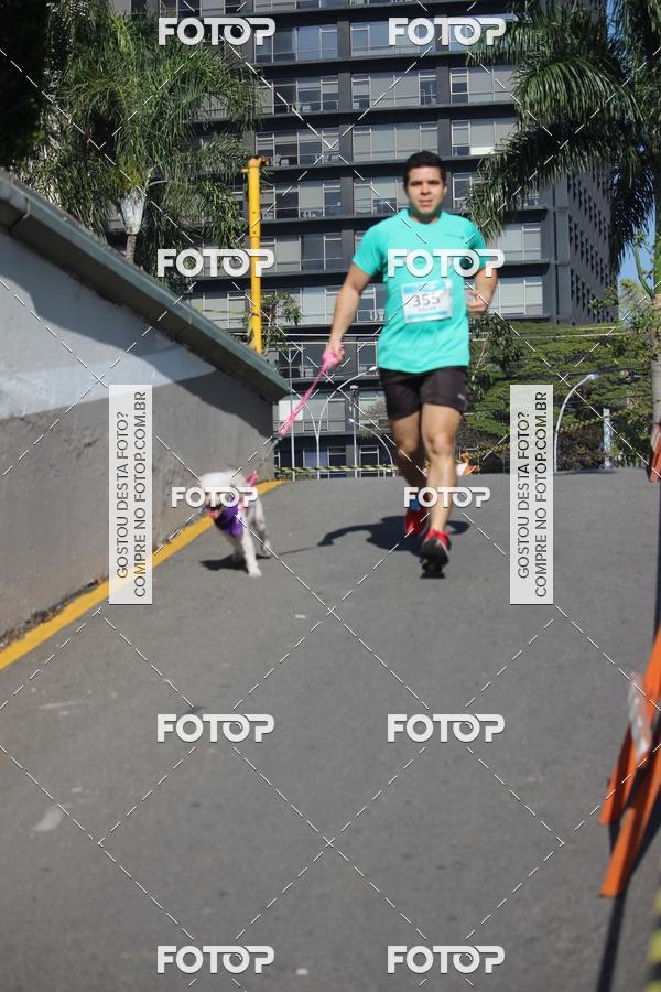 Buy your photos of the event2 Pet Run Shopping Eldorado  on Fotop