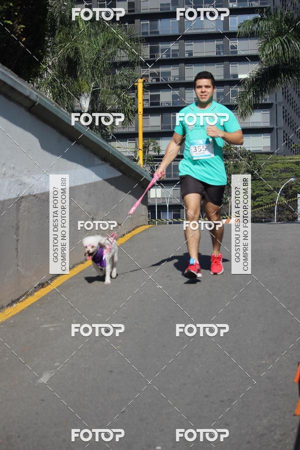 Buy your photos of the event2 Pet Run Shopping Eldorado  on Fotop