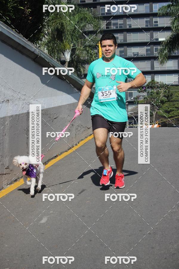 Buy your photos of the event2 Pet Run Shopping Eldorado  on Fotop