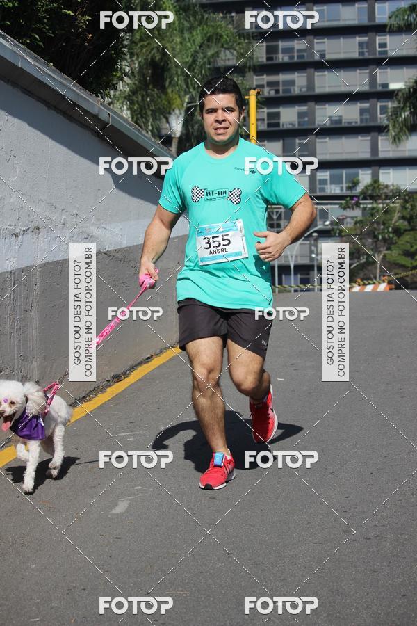 Buy your photos of the event2 Pet Run Shopping Eldorado  on Fotop