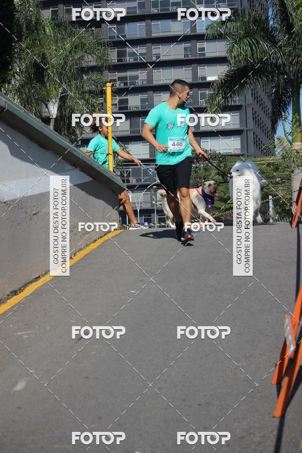 Buy your photos of the event2 Pet Run Shopping Eldorado  on Fotop