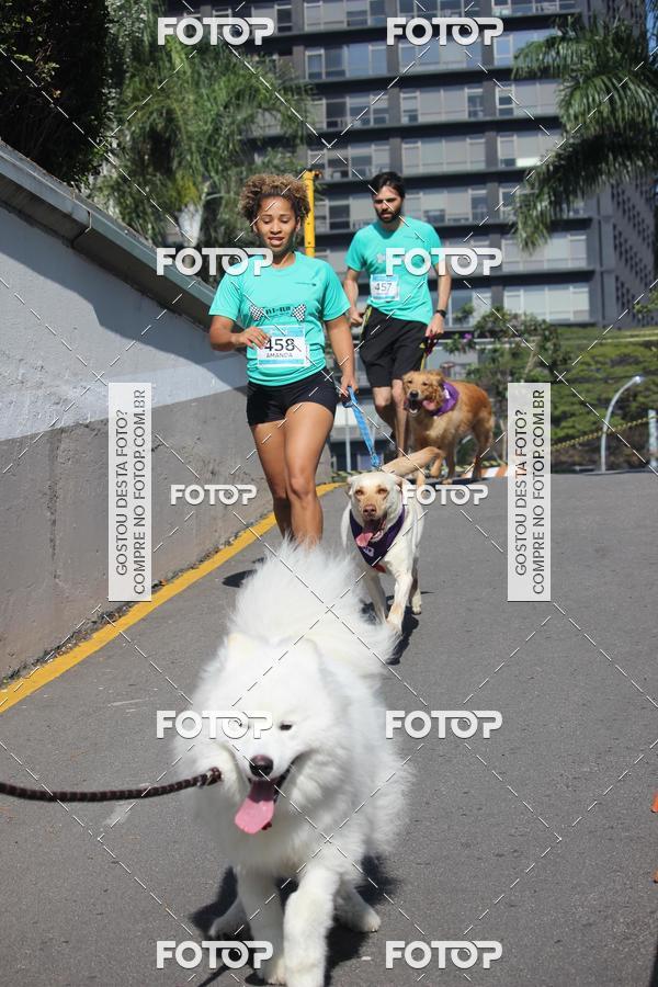 Buy your photos of the event2 Pet Run Shopping Eldorado  on Fotop