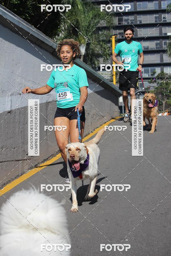 Buy your photos of the event2 Pet Run Shopping Eldorado  on Fotop