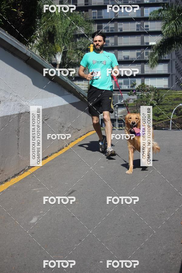 Buy your photos of the event2 Pet Run Shopping Eldorado  on Fotop