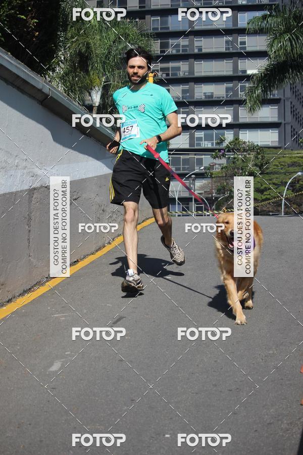 Buy your photos of the event2 Pet Run Shopping Eldorado  on Fotop