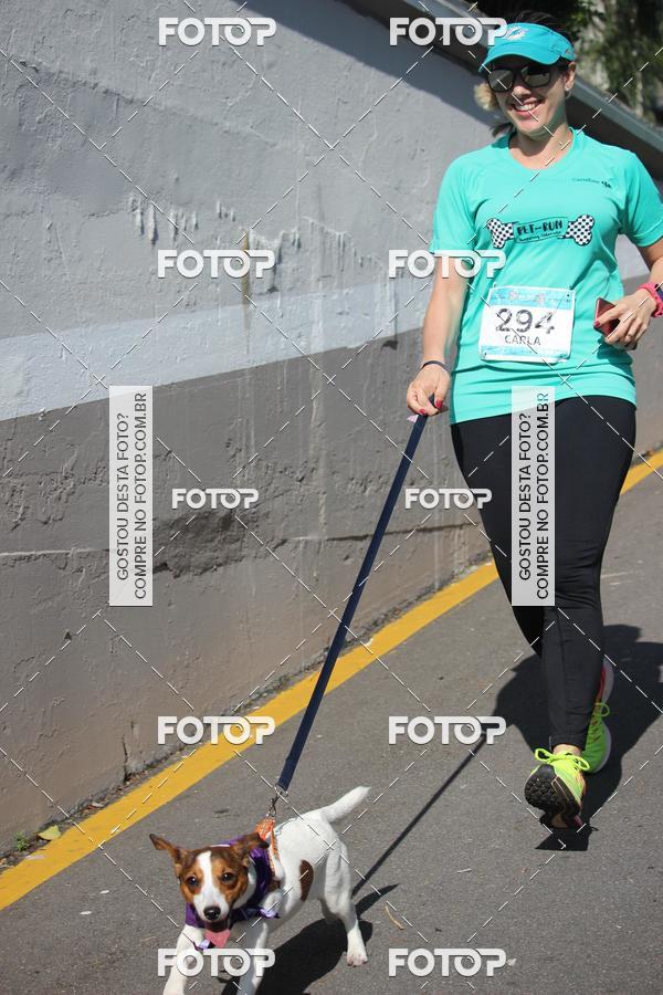 Buy your photos of the event2 Pet Run Shopping Eldorado  on Fotop