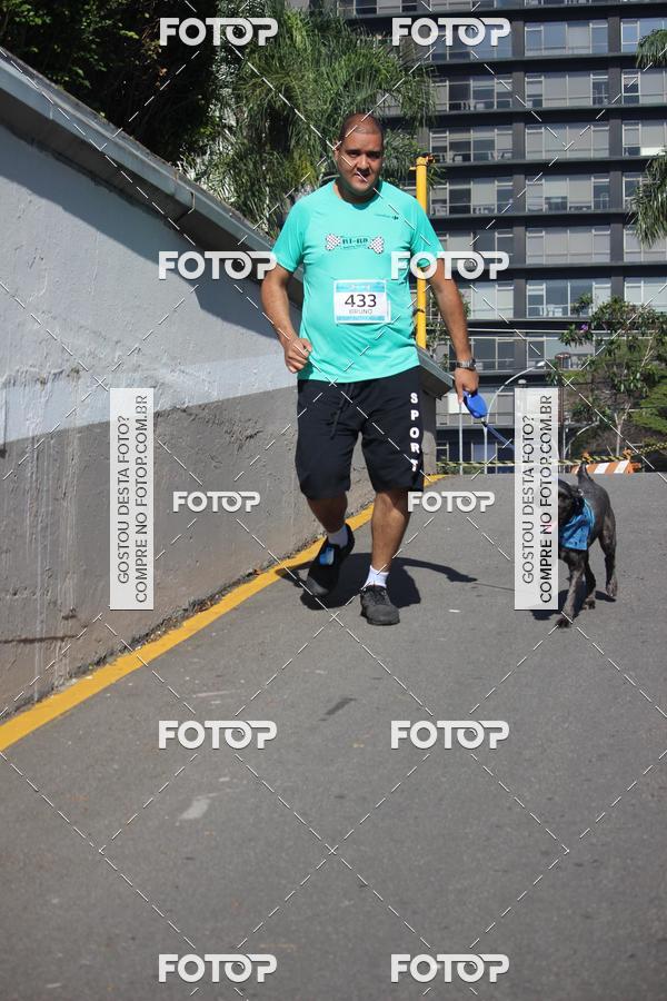 Buy your photos of the event2 Pet Run Shopping Eldorado  on Fotop