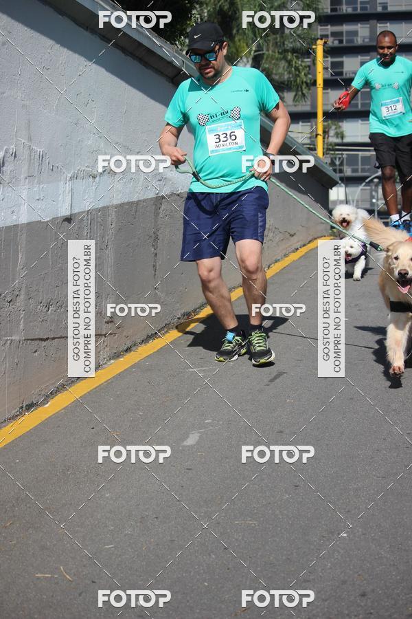 Buy your photos of the event2 Pet Run Shopping Eldorado  on Fotop