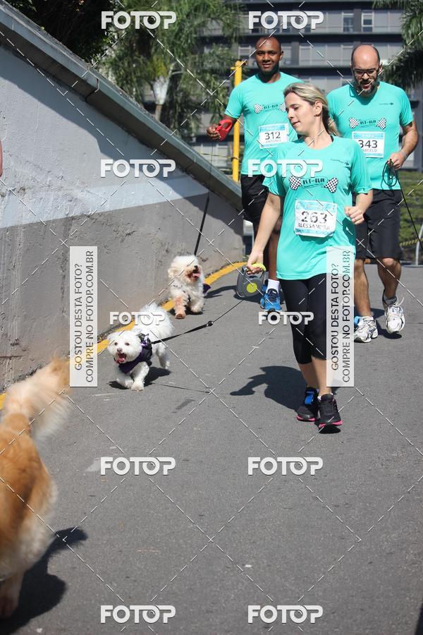 Buy your photos of the event2 Pet Run Shopping Eldorado  on Fotop