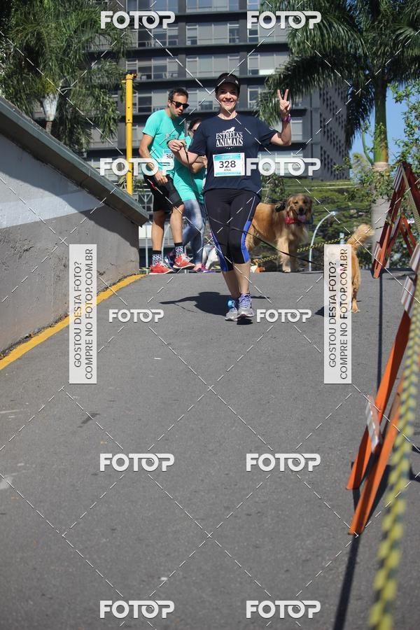 Buy your photos of the event2 Pet Run Shopping Eldorado  on Fotop