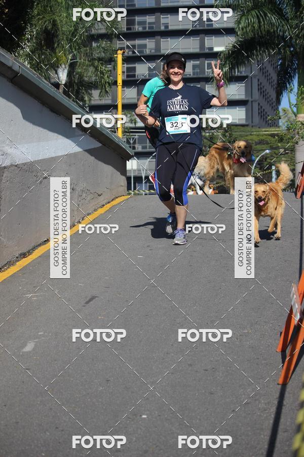 Buy your photos of the event2 Pet Run Shopping Eldorado  on Fotop