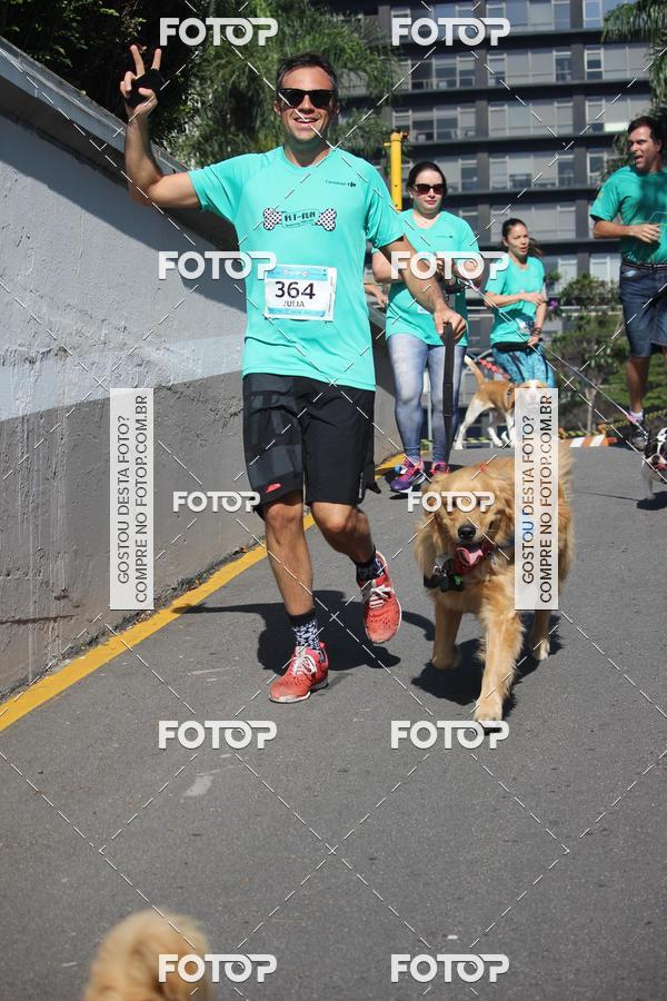 Buy your photos of the event2 Pet Run Shopping Eldorado  on Fotop