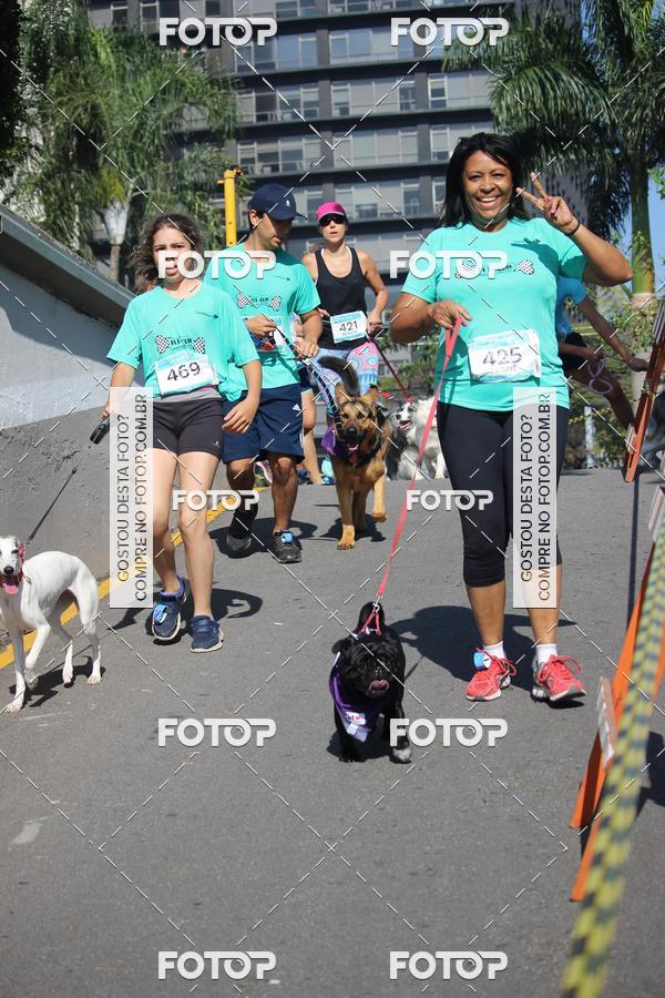 Buy your photos of the event2 Pet Run Shopping Eldorado  on Fotop