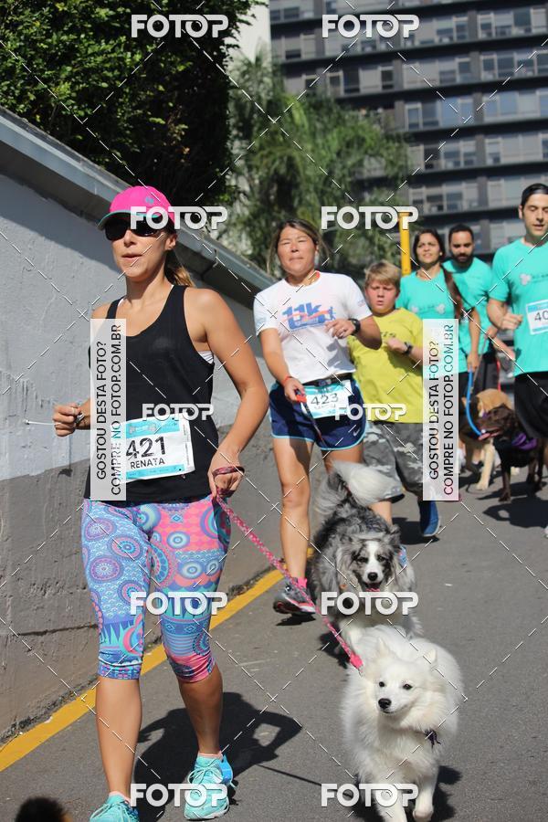 Buy your photos of the event2 Pet Run Shopping Eldorado  on Fotop