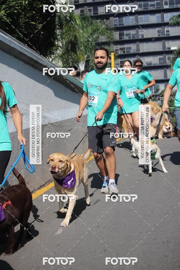 Buy your photos of the event2 Pet Run Shopping Eldorado  on Fotop