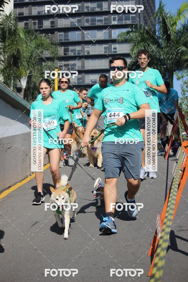 Buy your photos of the event2 Pet Run Shopping Eldorado  on Fotop