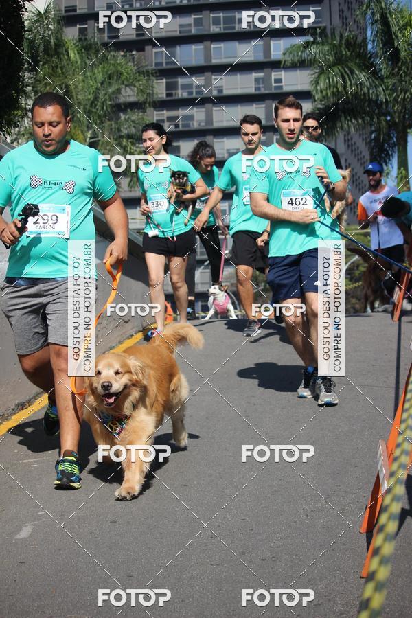 Buy your photos of the event2 Pet Run Shopping Eldorado  on Fotop