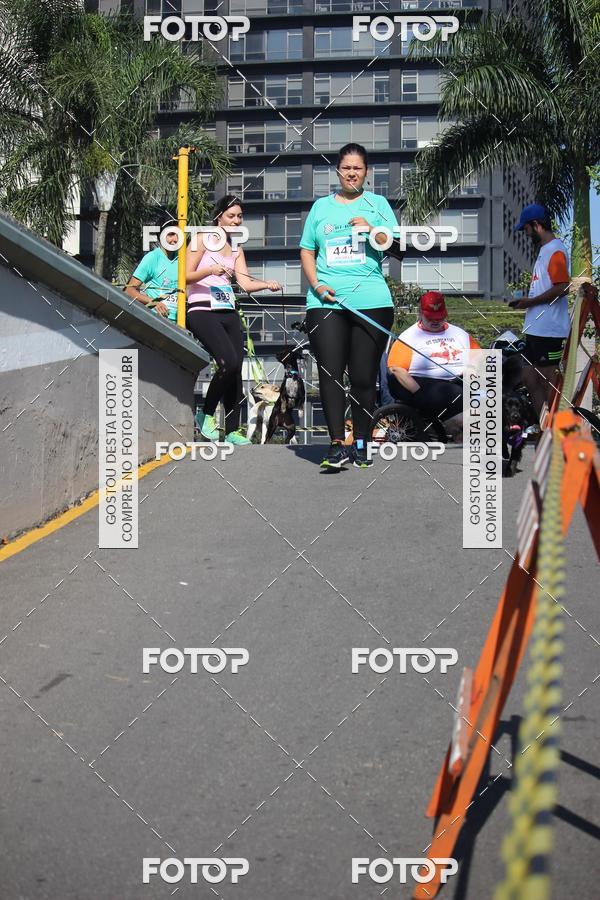 Buy your photos of the event2 Pet Run Shopping Eldorado  on Fotop