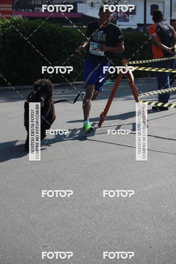 Buy your photos of the event2 Pet Run Shopping Eldorado  on Fotop